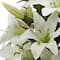 16" White Lily Silk Arrangement with Glass Vase